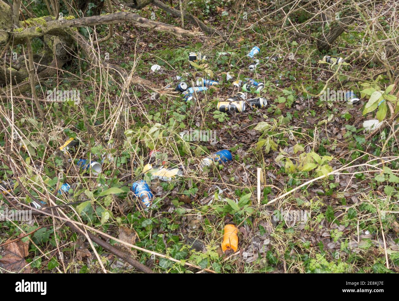 Scartato lattine di bevande vuote in dumping nelle campagne, Inghilterra, Regno Unito Foto Stock