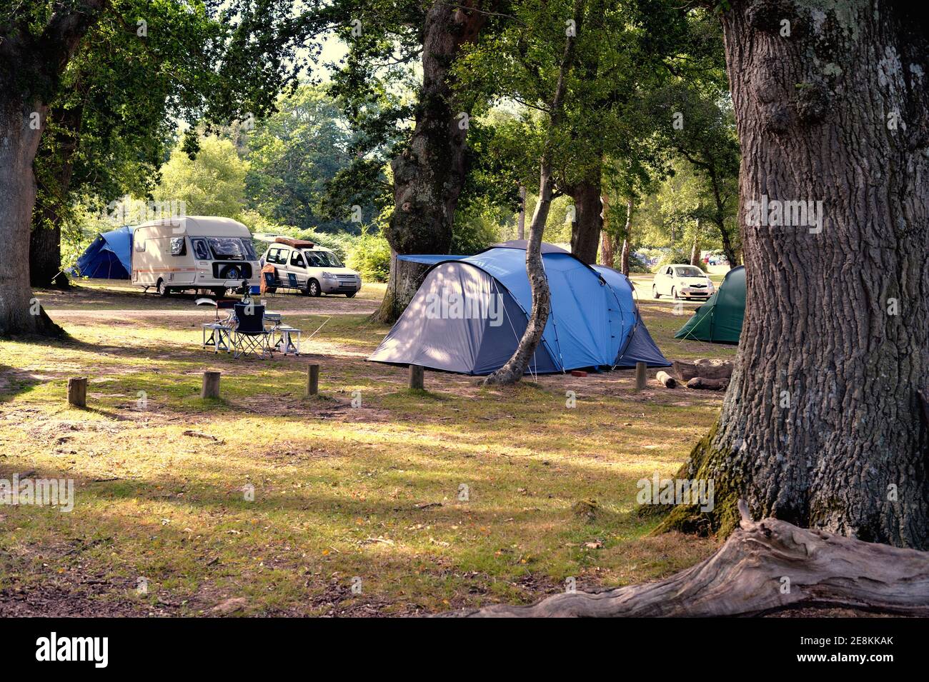 Tende e caravan in un Campeggio della Nuova Foresta Foto Stock