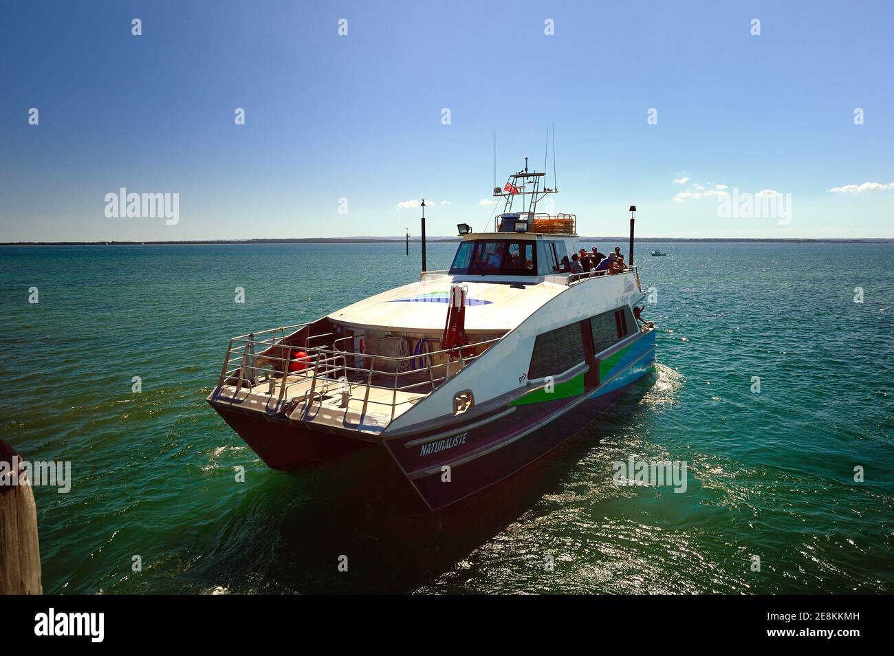 Traghetto passeggeri da Stony Point a French Island, Victoria, Australia Foto Stock