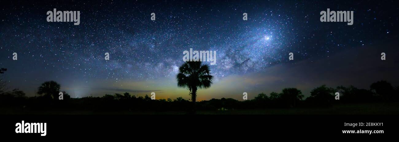 Un panorama della Via Lattea fotografata al Big Cypress National Preserve. Foto Stock