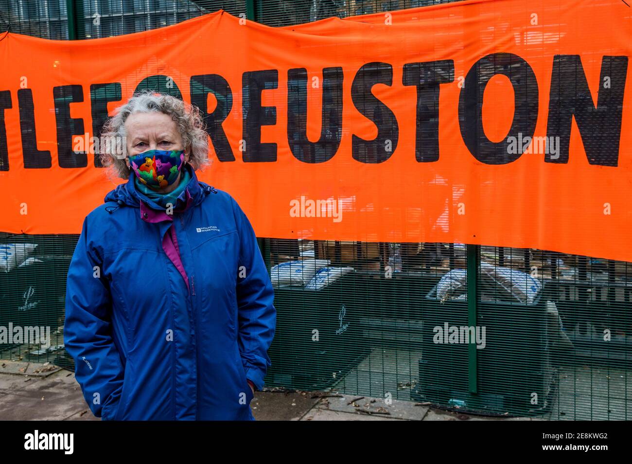 Londra, Regno Unito. 31 gennaio 2021. Jenny Jones, Baronessa Jones di Moulsecoomb, un membro del Partito Verde si unisce ai tifosi che arrivano con un cartello con la scritta "Stop HS2 Now, BattleforEuston" - il campo anti HS2 Extinction Rebellion continua ad essere liquidato (per creare un'area di parcheggio temporanea) da Bailiffs (dal National Enforcement Team, NET, una filiale di High Court Enforcement Group) presso la stazione di Euston. Tutti i manifestanti di terra sopra sono stati eliminati e sembra che ora ci sia una pausa prima che le gallerie siano trattate. Credit: Guy Bell/Alamy Live News Foto Stock