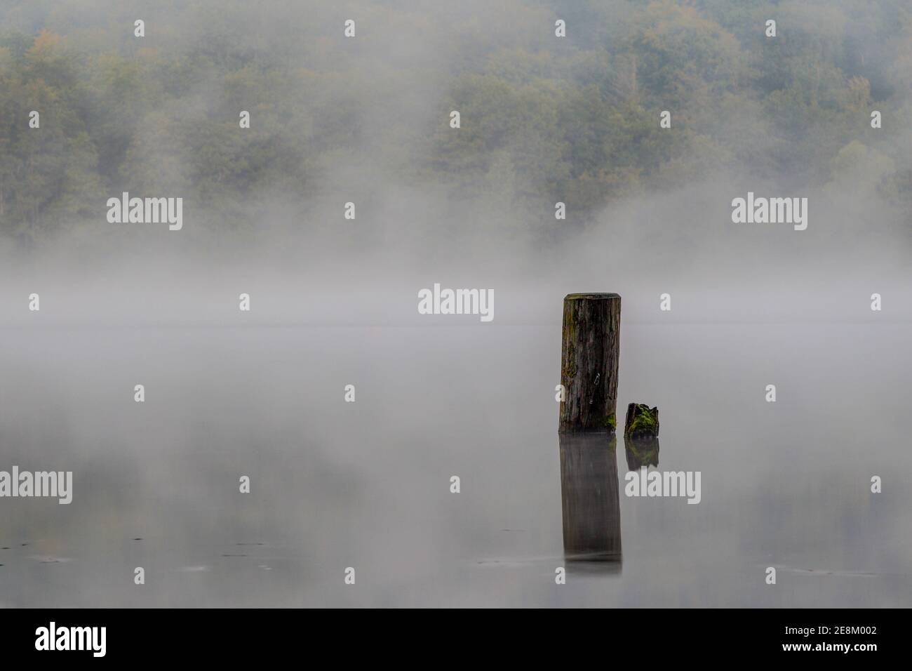 Umore autunnale al lago. La foresta colorata scompare dietro le nuvole di nebbia che si stacca sulle acque del lago Küchensee, in cui il vecchio bosco Foto Stock