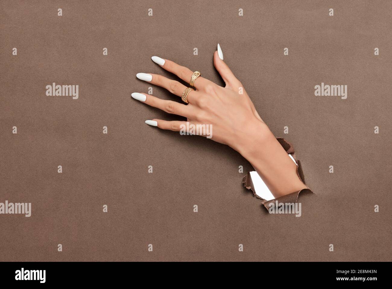 Una mano femminile con lunghi chiodi bianchi e anelli dorati aderenza dello sfondo marrone della carta Foto Stock