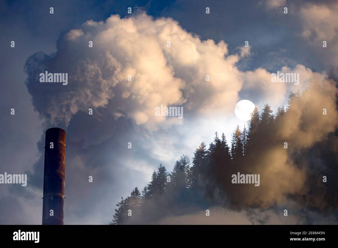 Fumo di fabbrica che copre la pineta. Doppia esposizione, concetto di riscaldamento globale. Foto Stock