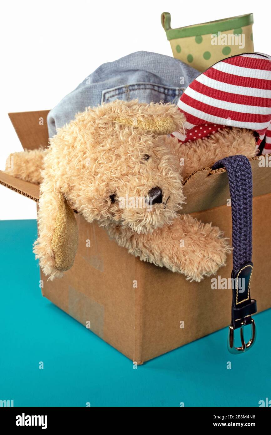 cane farcito animali e scarpe di moda e cintura in un scatola di cartone marrone da donare Foto Stock