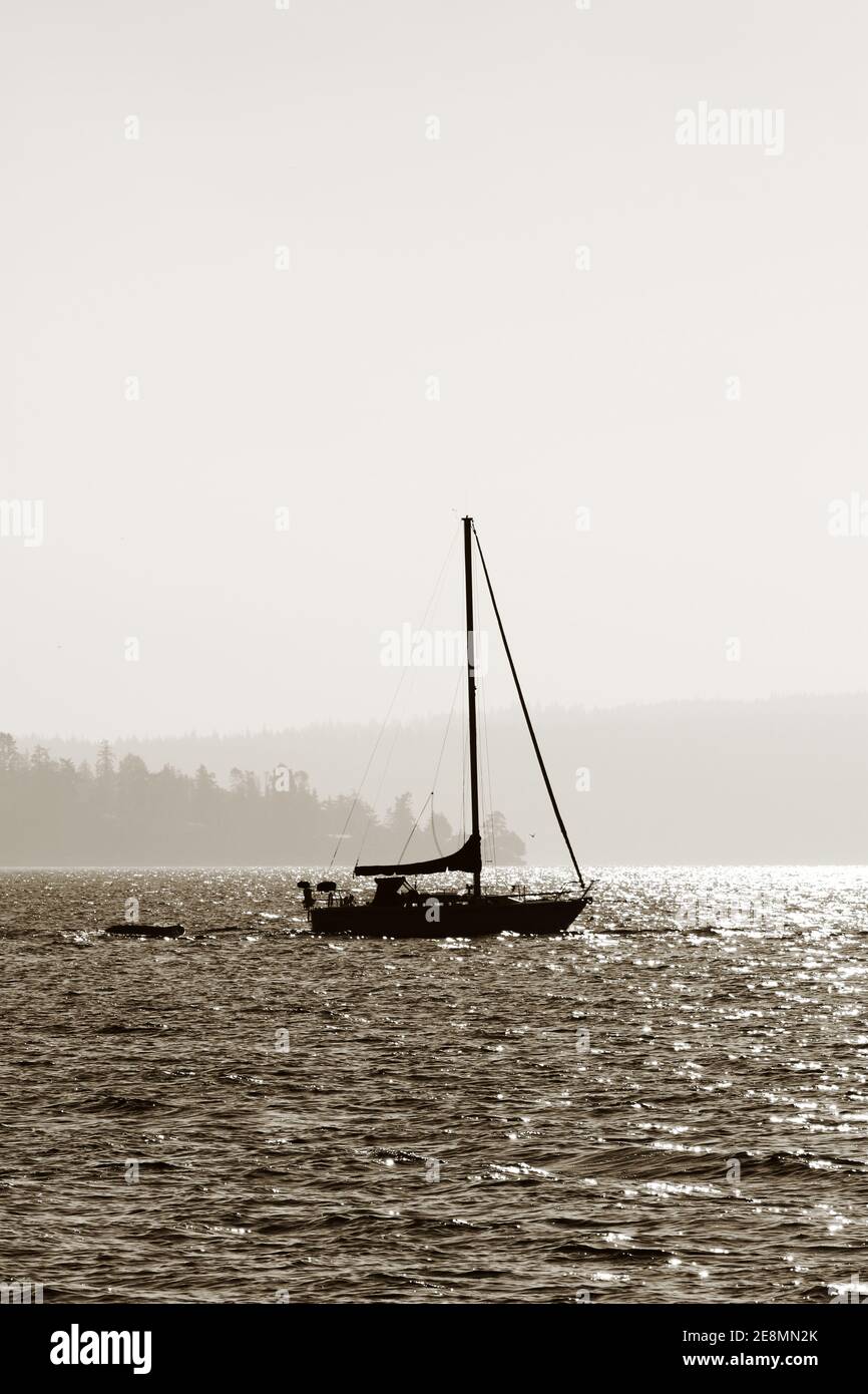 Immagine con tonalità seppia di una barca a vela, Washington state, USA Foto Stock