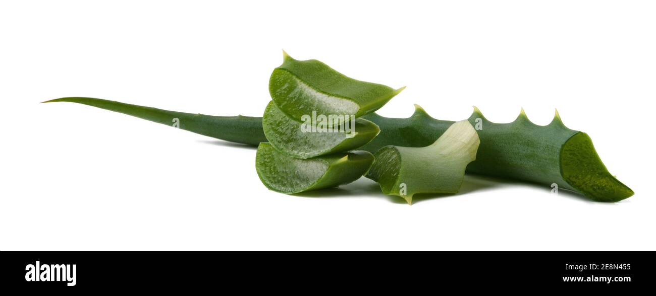 Una foglia di aloe con fette tagliate viene isolata su uno sfondo bianco con un'ombra. Messa a fuoco selettiva. Foto Stock