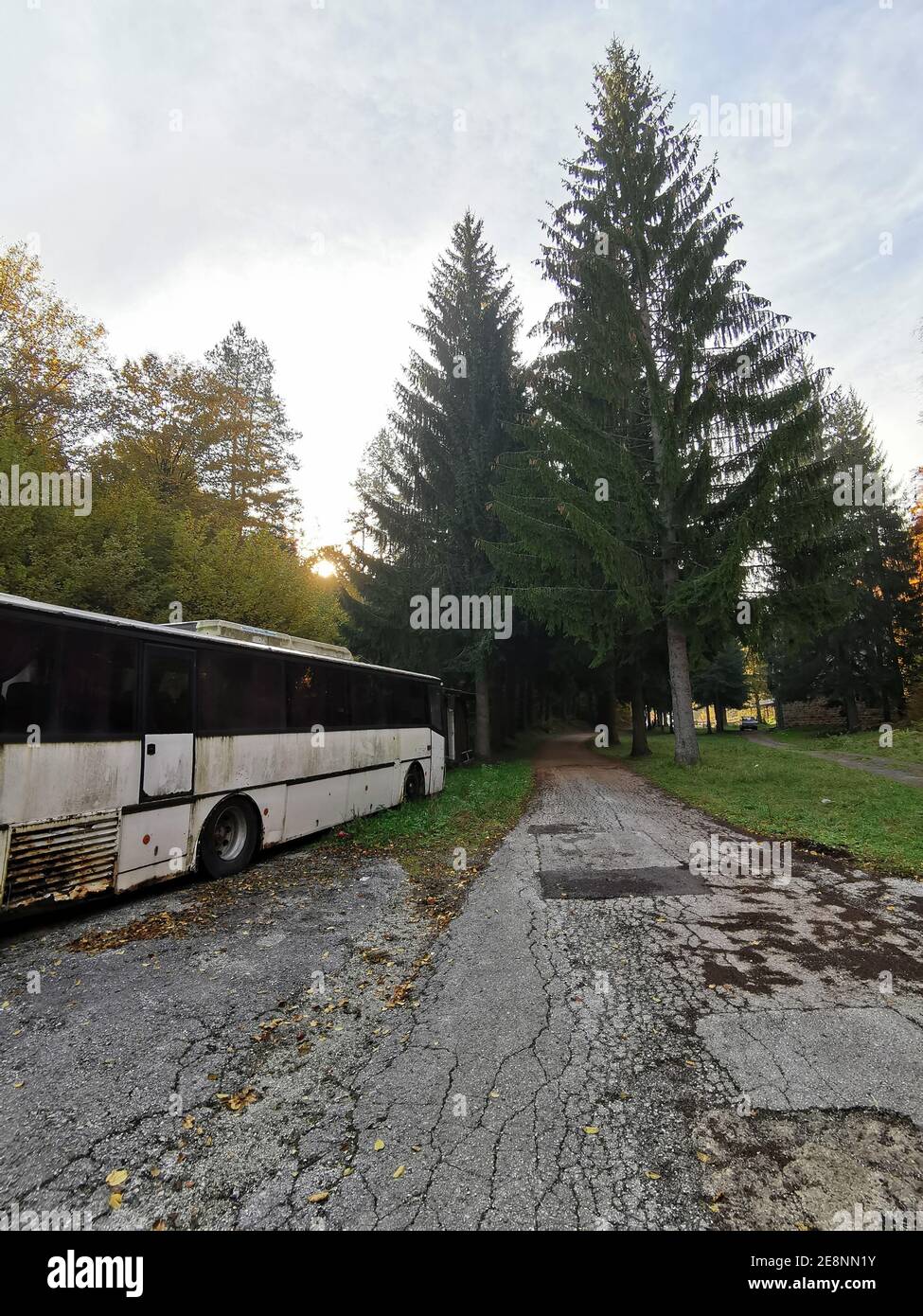 Un'immagine verticale di un vecchio autobus bianco parcheggiato in una foresta Foto Stock