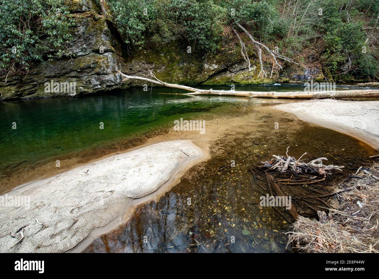 Acque calme del fiume Davidson - Pisgah National Forest, Brevard, Carolina del Nord, Stati Uniti Foto Stock