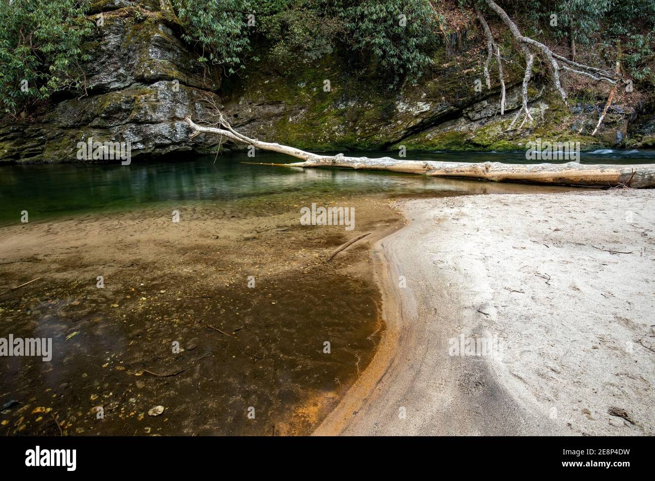 Acque calme del fiume Davidson - Pisgah National Forest, Brevard, Carolina del Nord, Stati Uniti Foto Stock