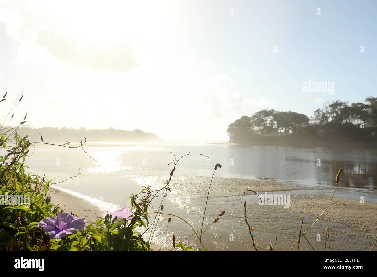 Lago Cathie NSW sulla splendida costa del Nord dell'Australia. 2445. Vista della laguna costiera ad est del ponte principale al mattino presto. Foto Stock