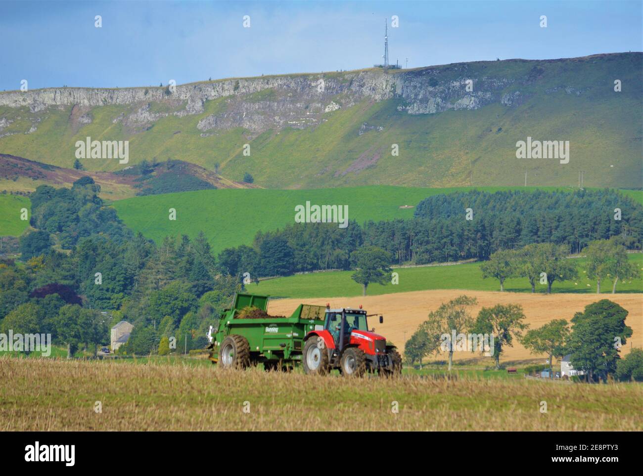 Spanditore di concime per trattori Massey Ferguson, Lundie, Perthshire, Scozia Foto Stock