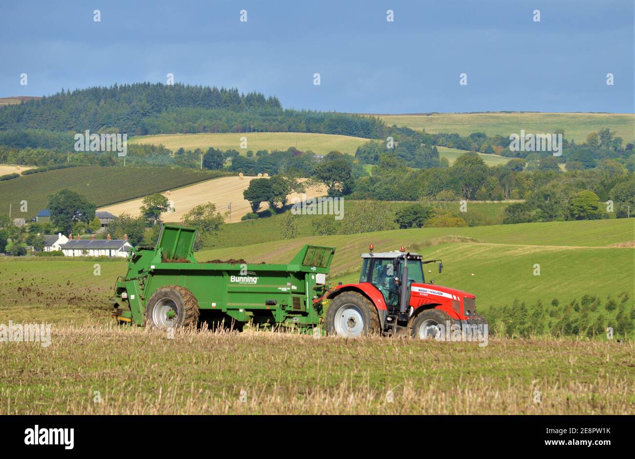 Spanditore di concime per trattori Massey Ferguson, Lundie, Perthshire, Scozia Foto Stock