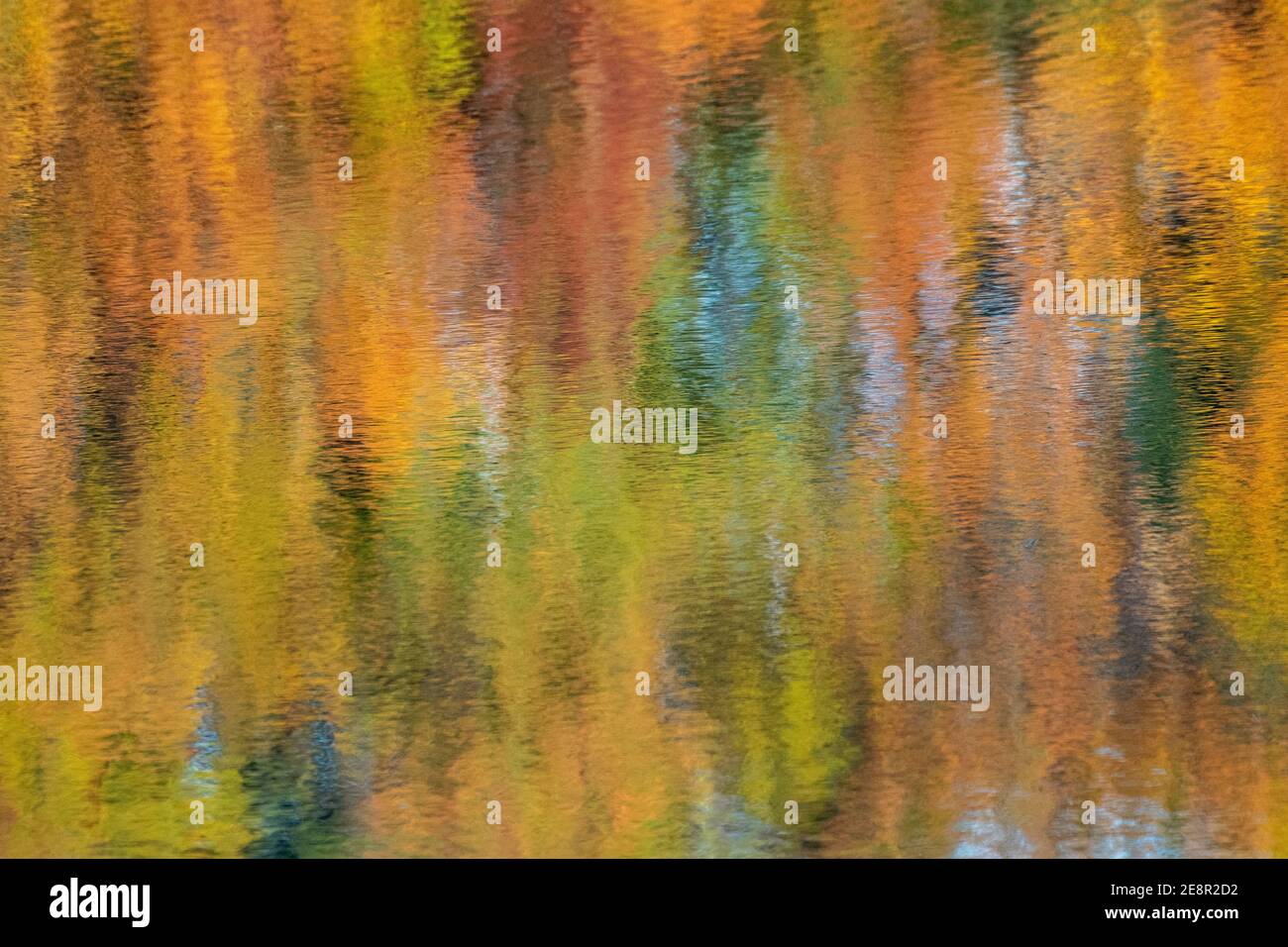 Caduta fogliame riflesso sull'acqua in un modello astratto. Foto Stock