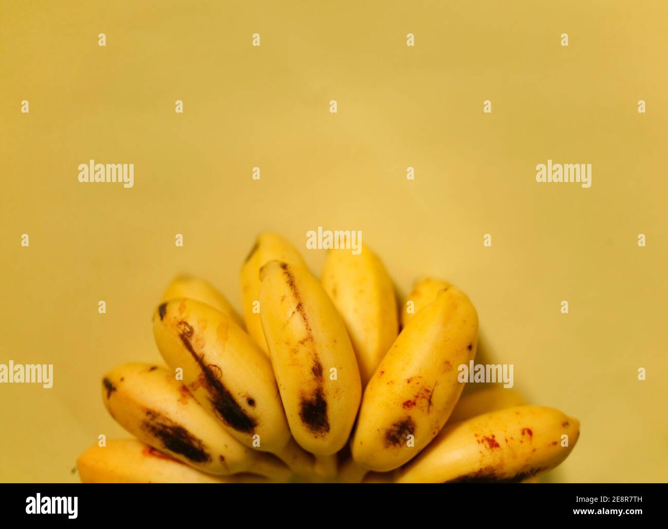 mazzo di banana isolato su sfondo giallo Foto Stock