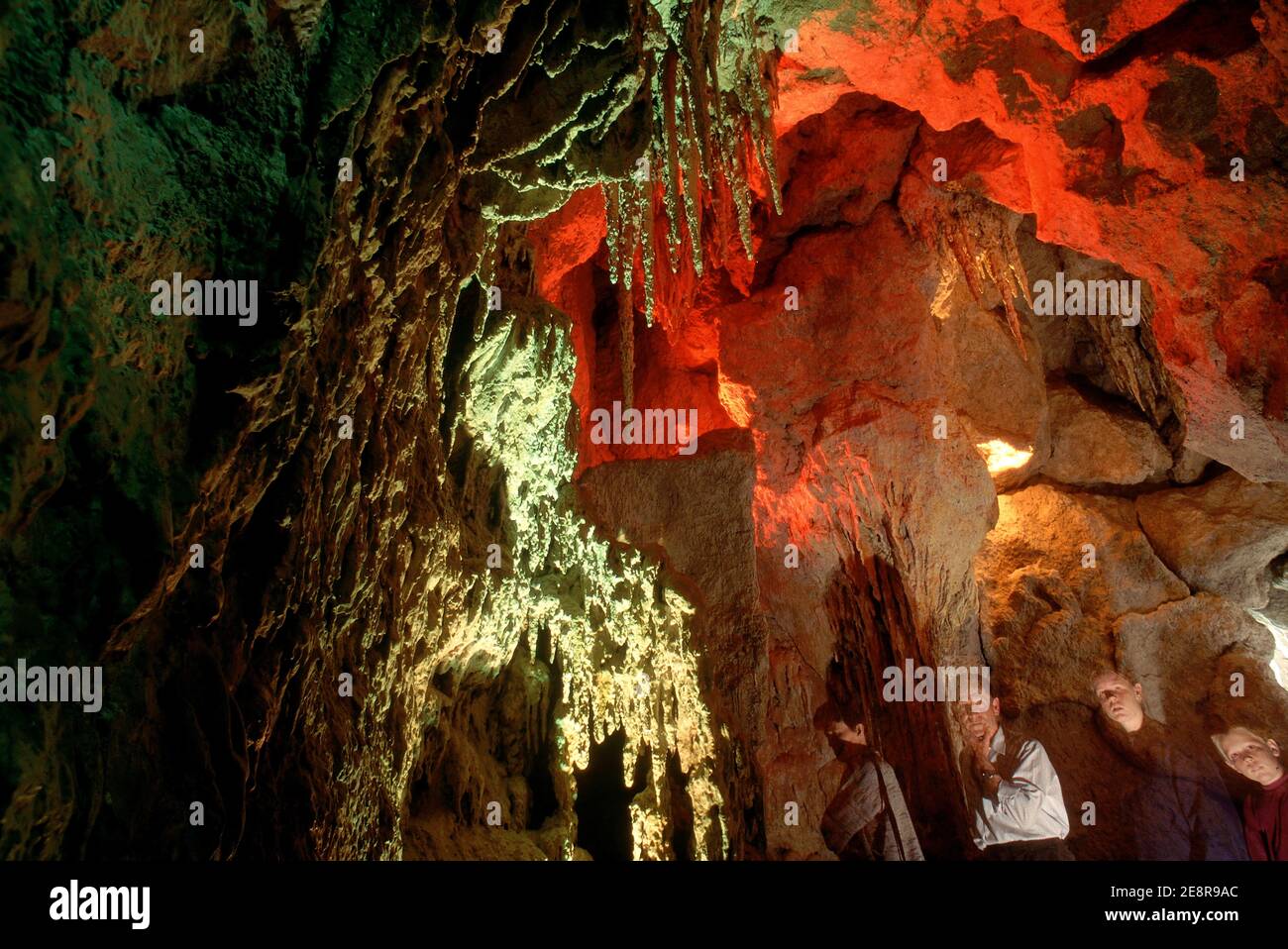 Germania/Baviera/Re Ludwigs Castel. Neuschwanenstein castel Grotto è una grotta artificiale di pietra drippare. Foto Stock