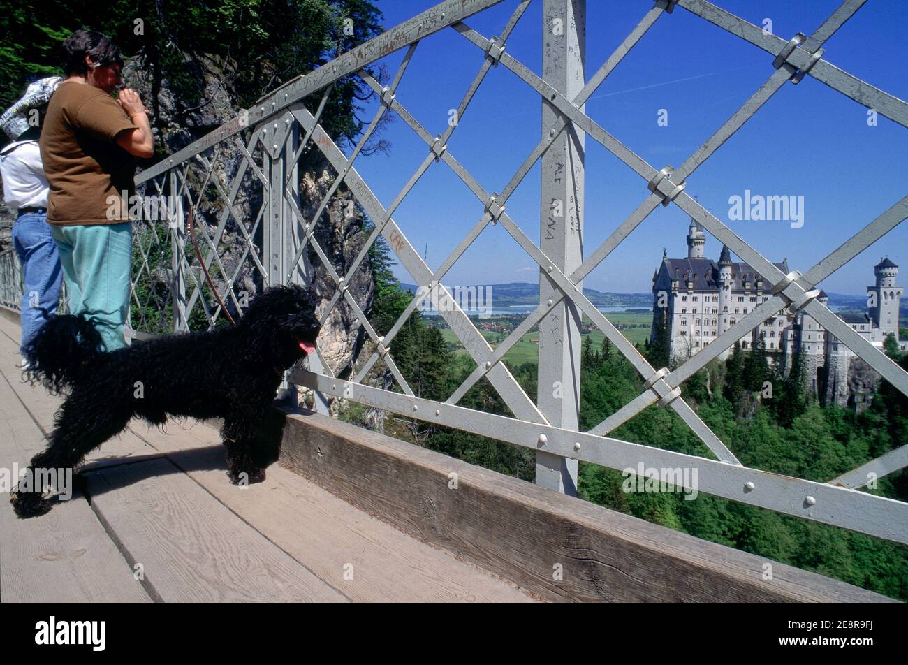 Germania, Baviera, Hohenschwangau, castello di Schloss Neuschwanstein, turisti con il cane stand sul Marienbrücke di fronte al castello di Neuschwanstein. Foto Stock