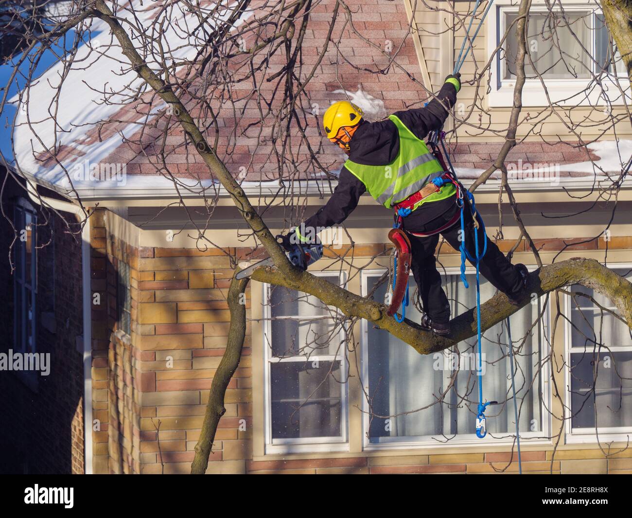 Trimmer al lavoro. Foto Stock