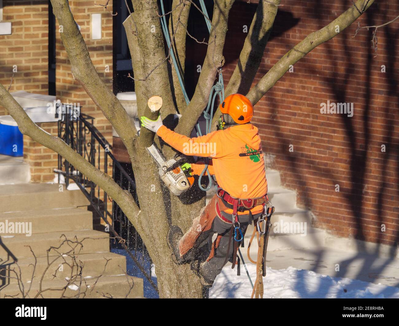 Trimmer al lavoro. Foto Stock