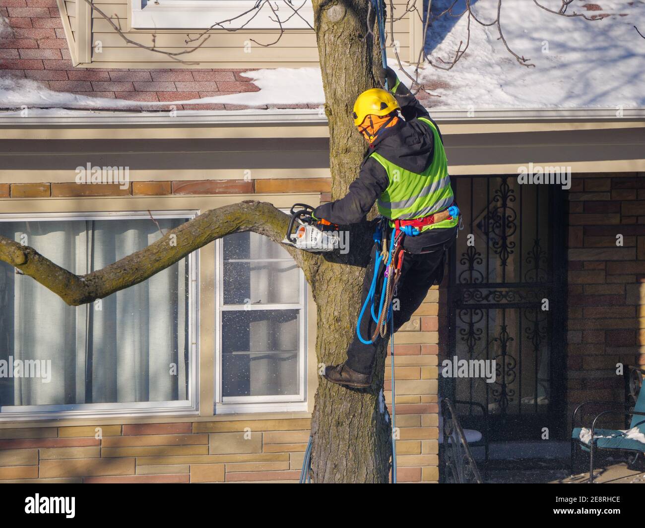 Trimmer al lavoro. Foto Stock