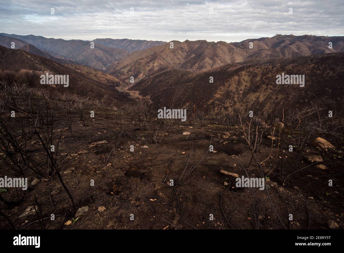 Il paesaggio bruciato della California, dopo gli incendi provocati dai fuochi d'incendio, ha attraversato e lasciato dietro montagne e valli arrossate. Foto Stock