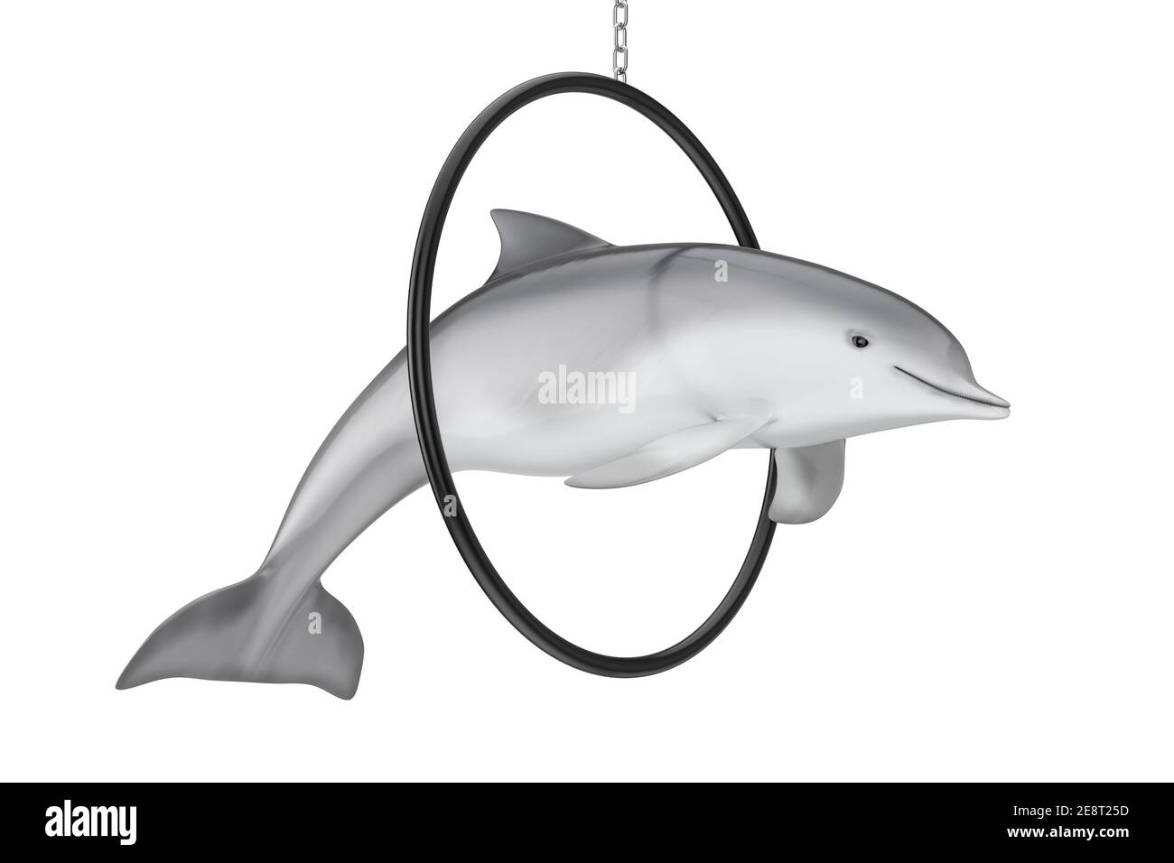 Tursiops Truncatus Oceano o Mare Dolphin Bottlenoso Salta attraverso l'anello su uno sfondo bianco. Rendering 3d Foto Stock Tursiops Truncatus Oceano o Mare Dolphin Bottlenoso Salta attraverso l'anello su uno sfondo bianco. Rendering 3d Foto Stock