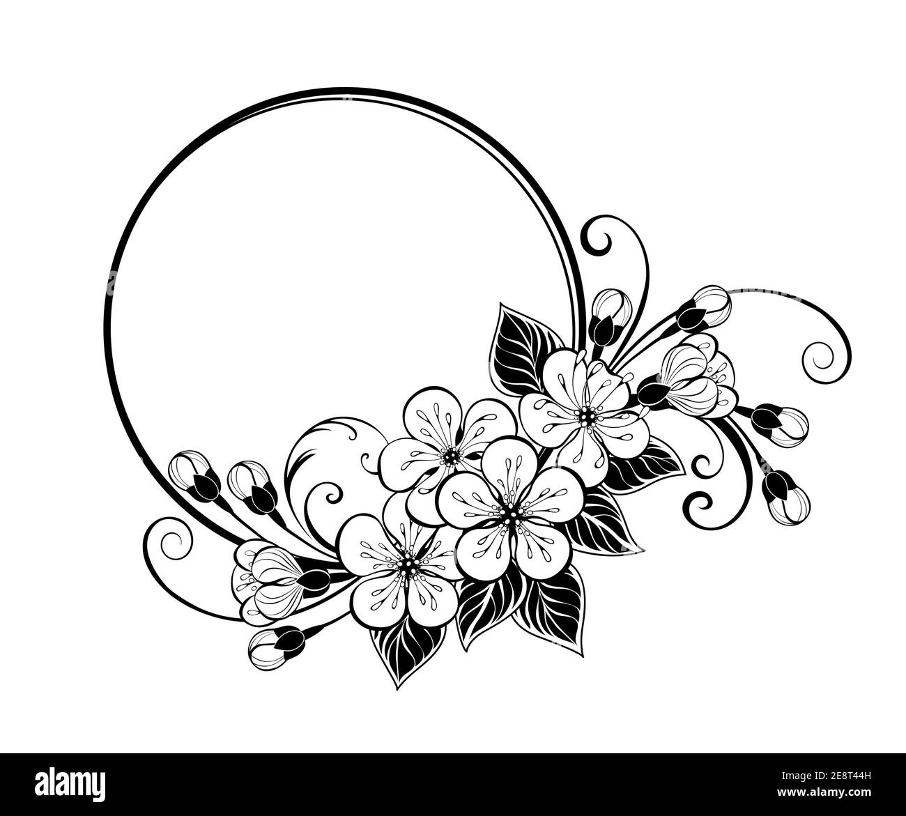 Cornice rotonda, decorata con contorni, disegnata artisticamente fiori sakura su sfondo bianco. Colorazione. Ciliegia giapponese in fiore. Illustrazione Vettoriale