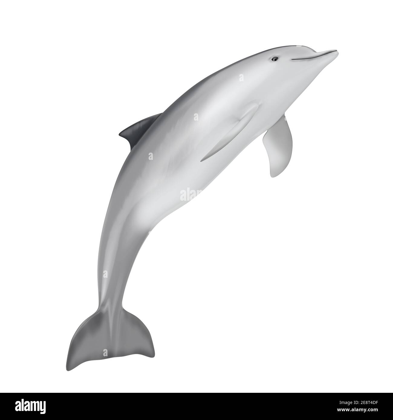 Costa dei delfini Immagini senza sfondo e Foto Stock ritagliate - Alamy