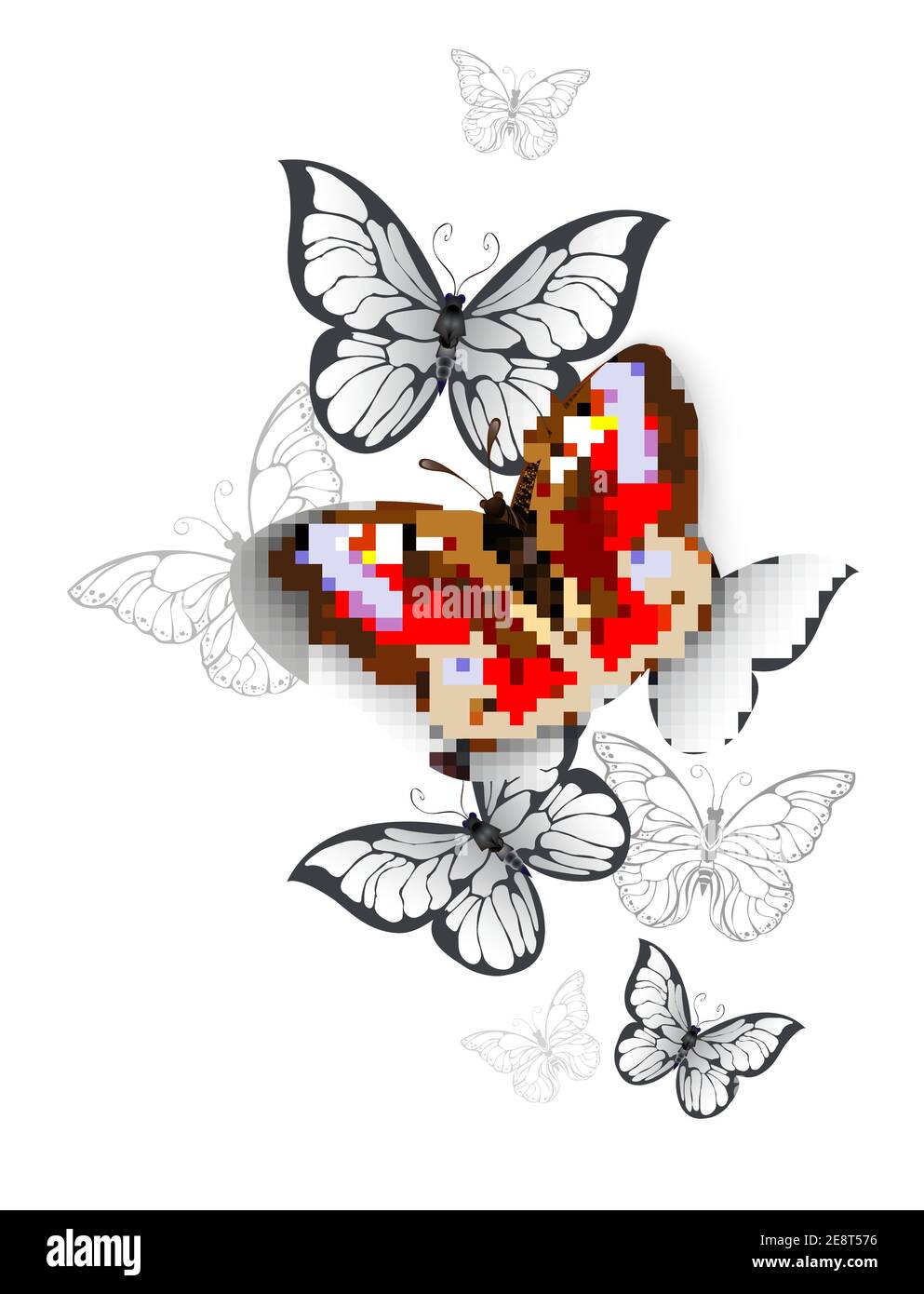 Farfalla di pavone rosso volante, realistica e testurizzata e farfalle bianche e grigie su sfondo bianco. Illustrazione Vettoriale