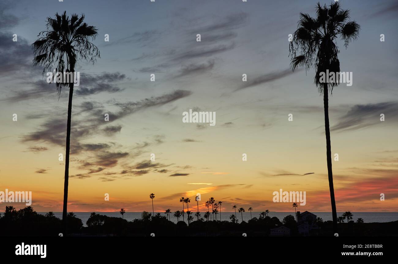 Oceano della California meridionale silhouette Sunset con palme Foto Stock