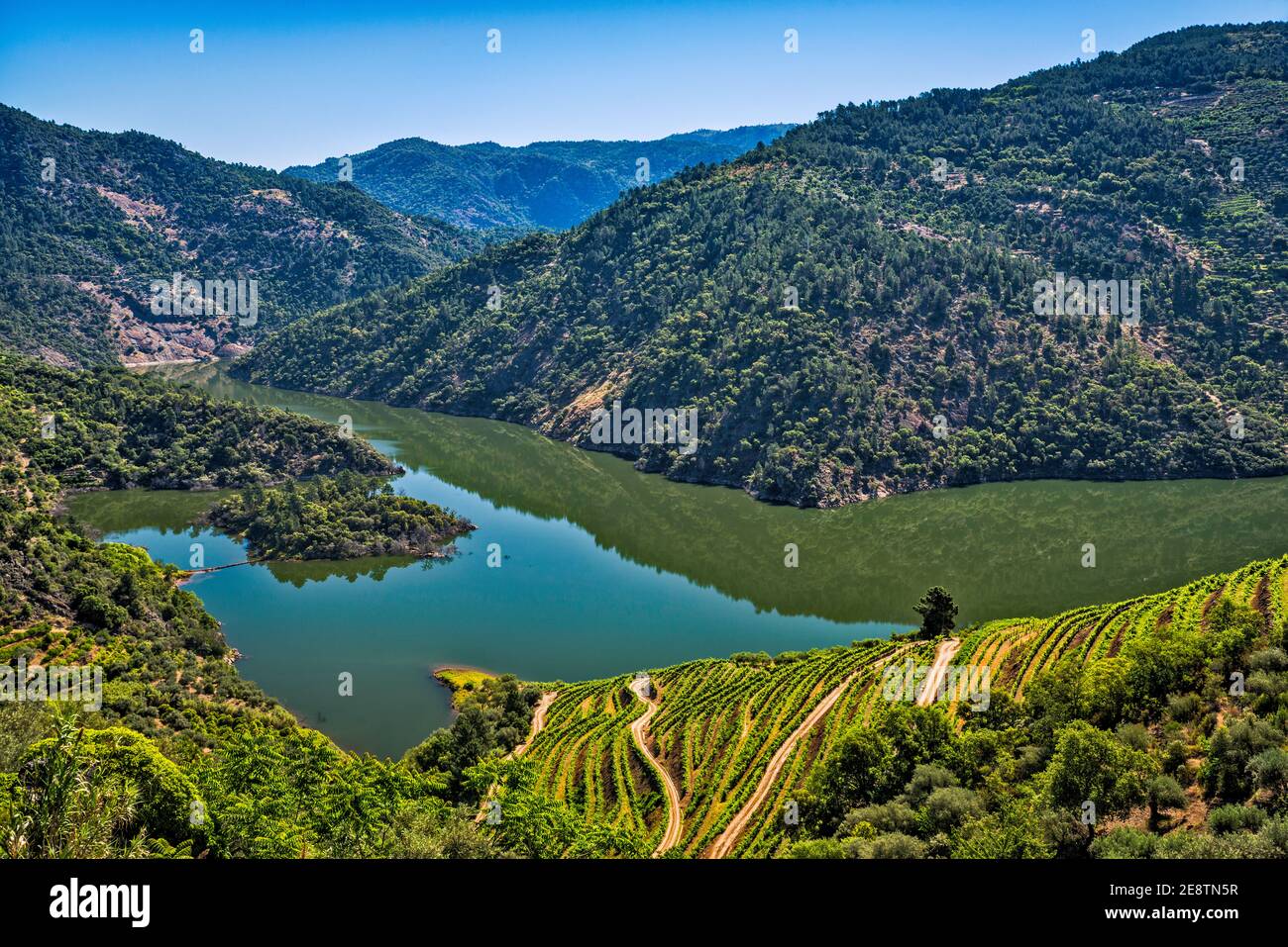 Vigneti terrazzati sul lago artificiale di Foz Tua in Garganta do Rio Tua, Rio Tua Gorge, vicino a Sao Mamede, regione Norte, Portogallo Foto Stock