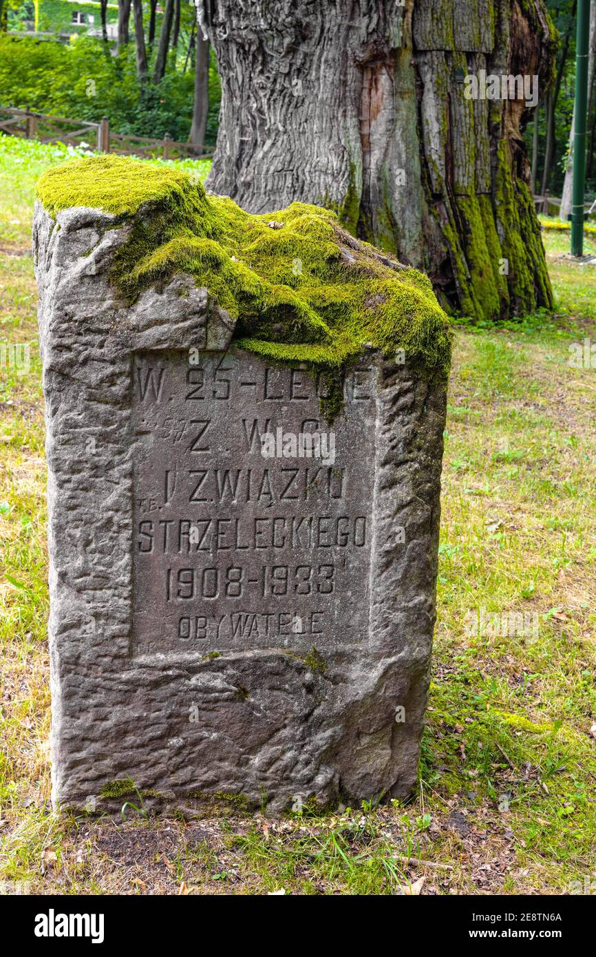 Zagnansk, Polonia - 23 agosto 2020: ZWG Shooting Union Memorial oltre Bartek Oak monumento naturale a Swietokrzyskie Montagne villaggio Zagnansk Foto Stock