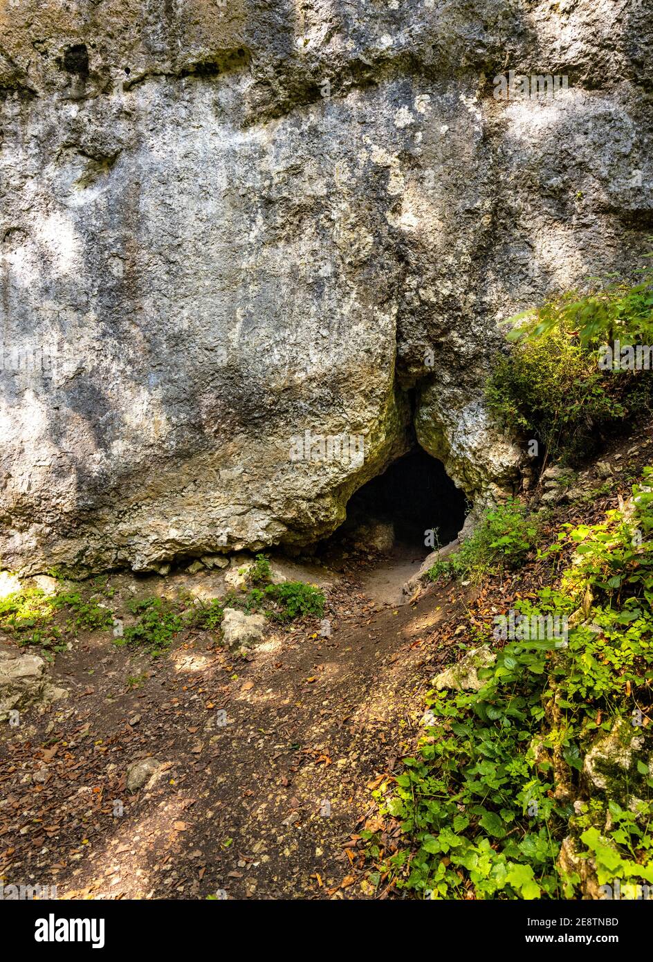 Grotta calcarea nella valle di Bedkowska foresta mista nel Giura Krakowsko-Czestochowska Upland vicino a Cracovia nella Polonia minore Foto Stock