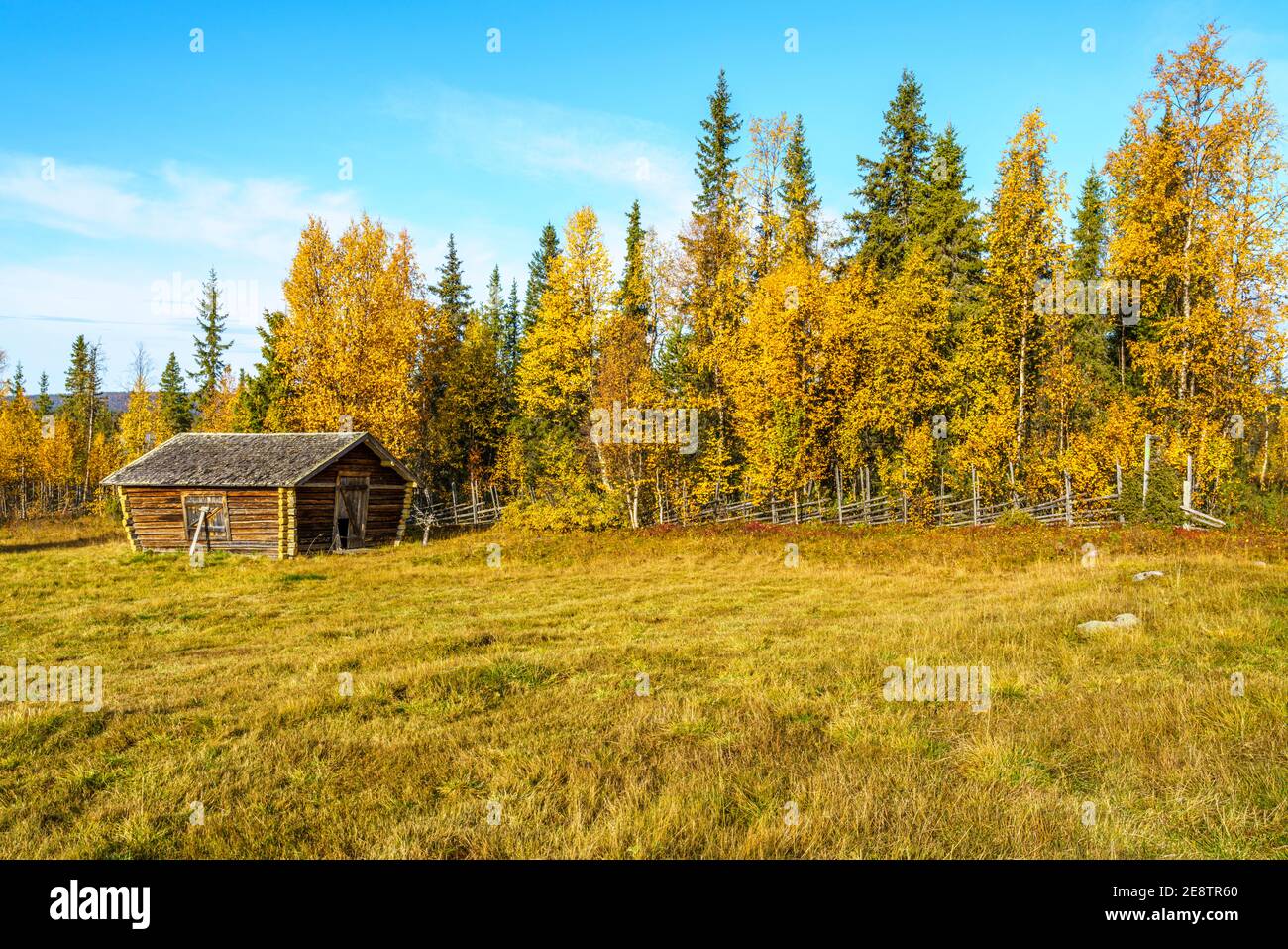 Vecchio fienile nella stagione autunnale con alberi colorati e cielo blu, contea di Gällivare, Lapponia svedese, Svezia Foto Stock