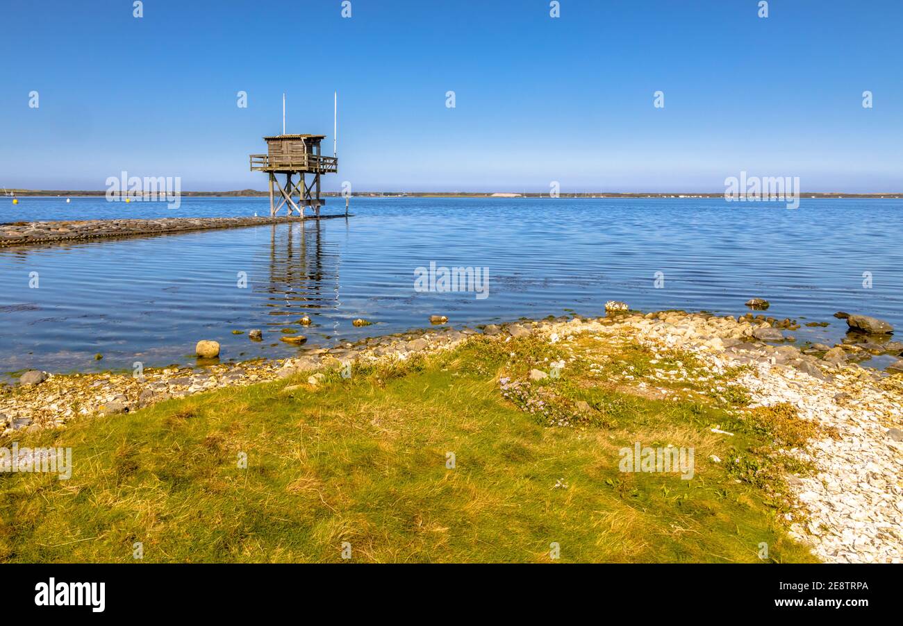 Litorale di Grevelingen insenatura salmastra nella provincia di Zeeland, Paesi Bassi. Foto Stock