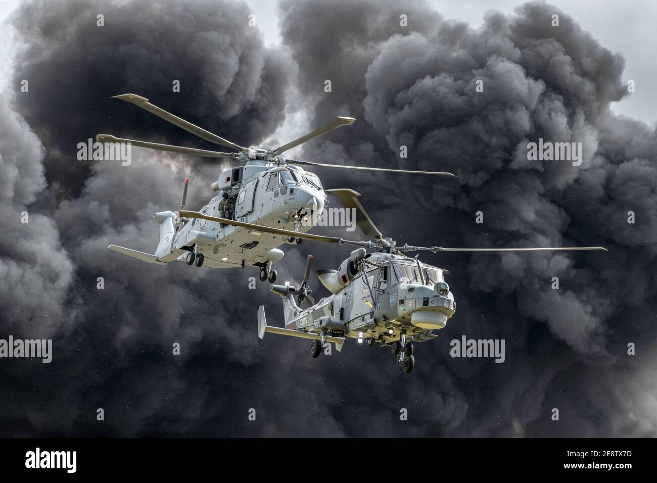 Un elicottero Merlin e Wildcat della Royal Navy del Regno Unito in una demo di assualt Foto Stock