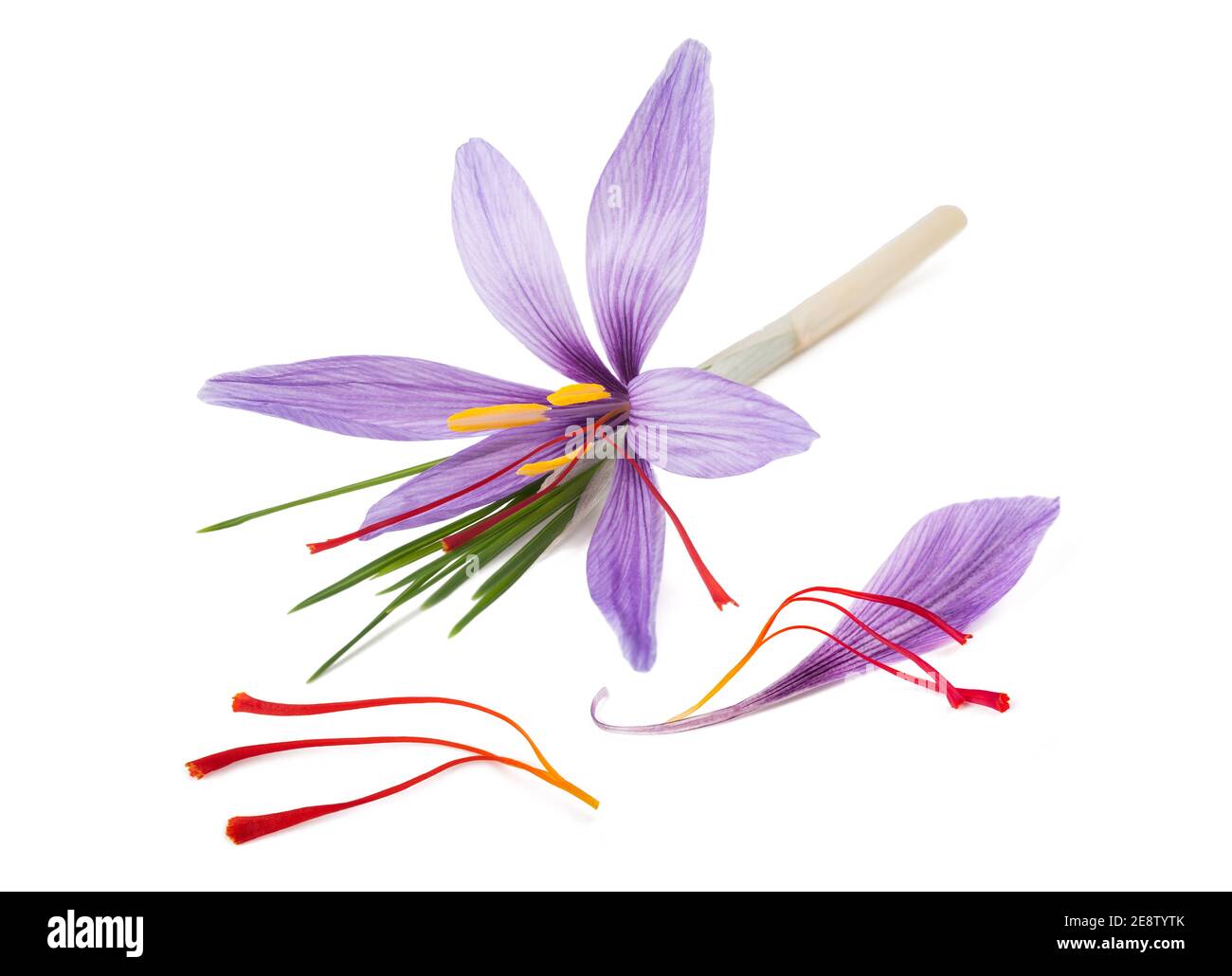 Stigmi e fiori di petalo di zafferano isolati su sfondo bianco Foto Stock