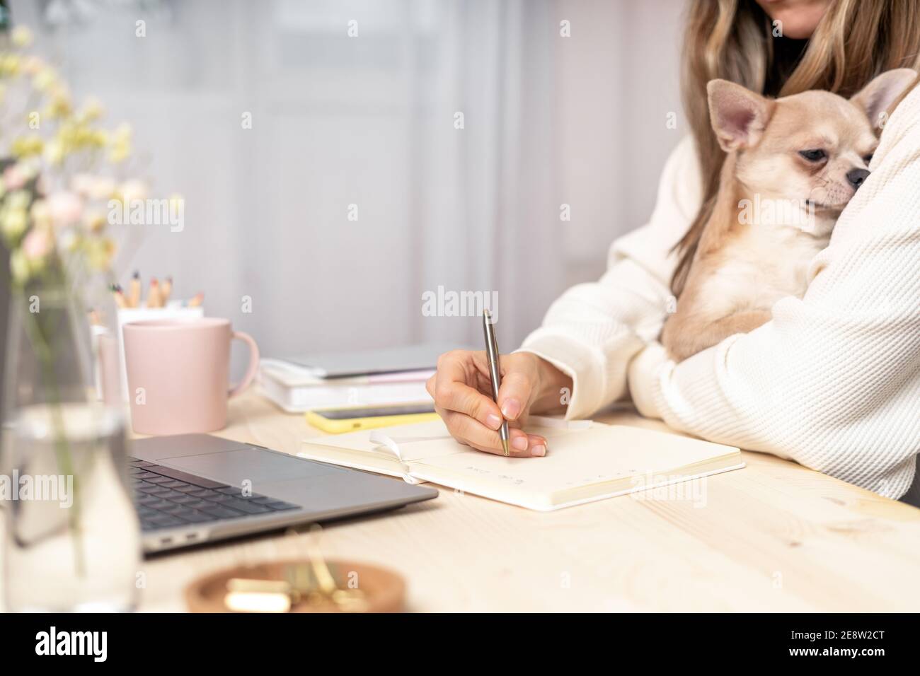 Donna scrive nel notebook sulla scrivania con il computer portatile Foto Stock