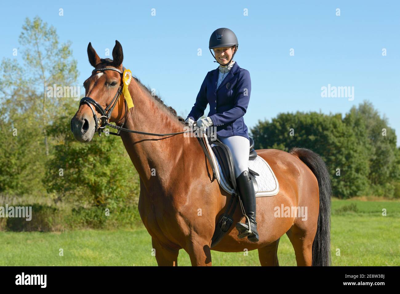 Vincitore del concorso, giovane pilota sul dorso di un cavallo hessiano Foto Stock