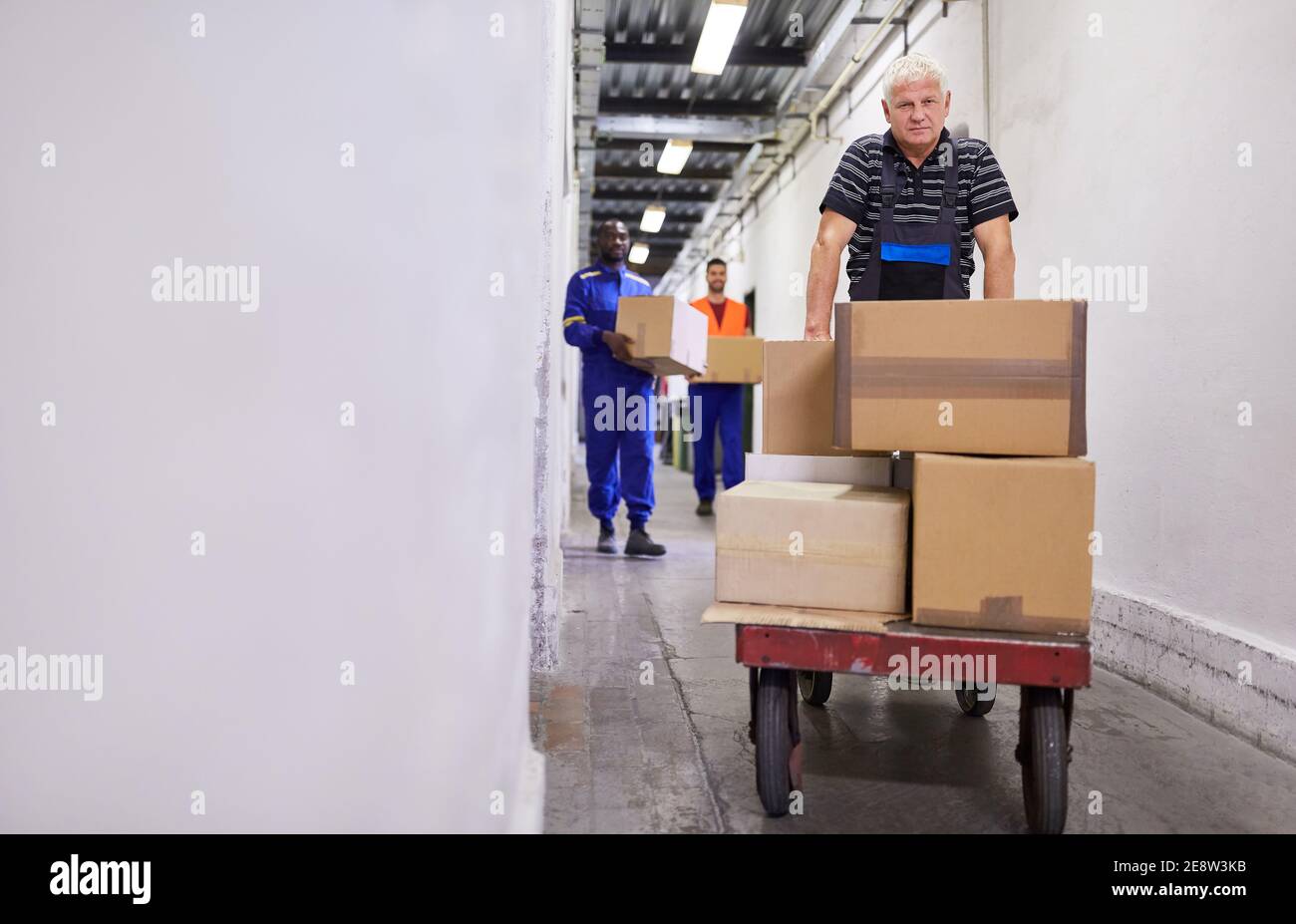 L'anziano lavoratore spinge molti pacchetti su carrelli di spinta al reparto merci in entrata di una fabbrica Foto Stock