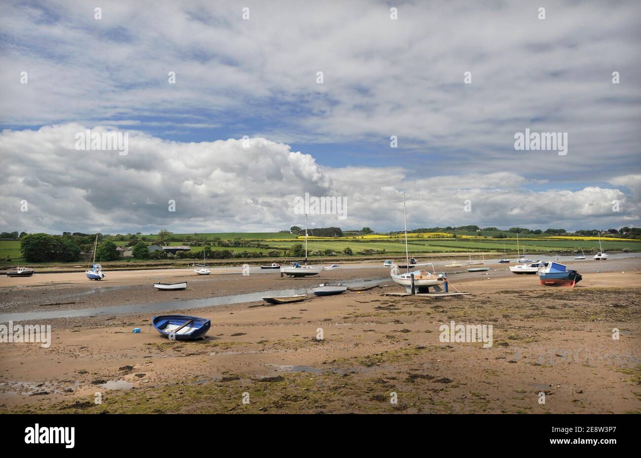 bassa marea ad alnmouth alnwick northumberland inghilterra Foto Stock
