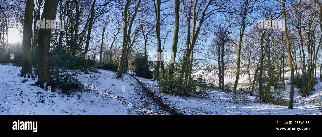 Foto panoramica dei boschi nella neve in inverno In Chilterns, Inghilterra con sentiero che conduce fino a uno stile Foto Stock