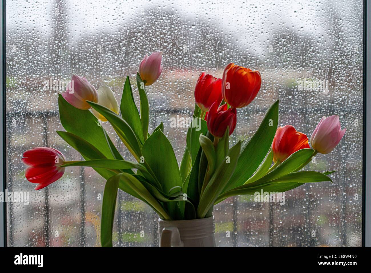 Tempo piovoso, pioggia su una finestra, vista da una finestra piovosa, vaso di fiori con tulipani colorati, Foto Stock