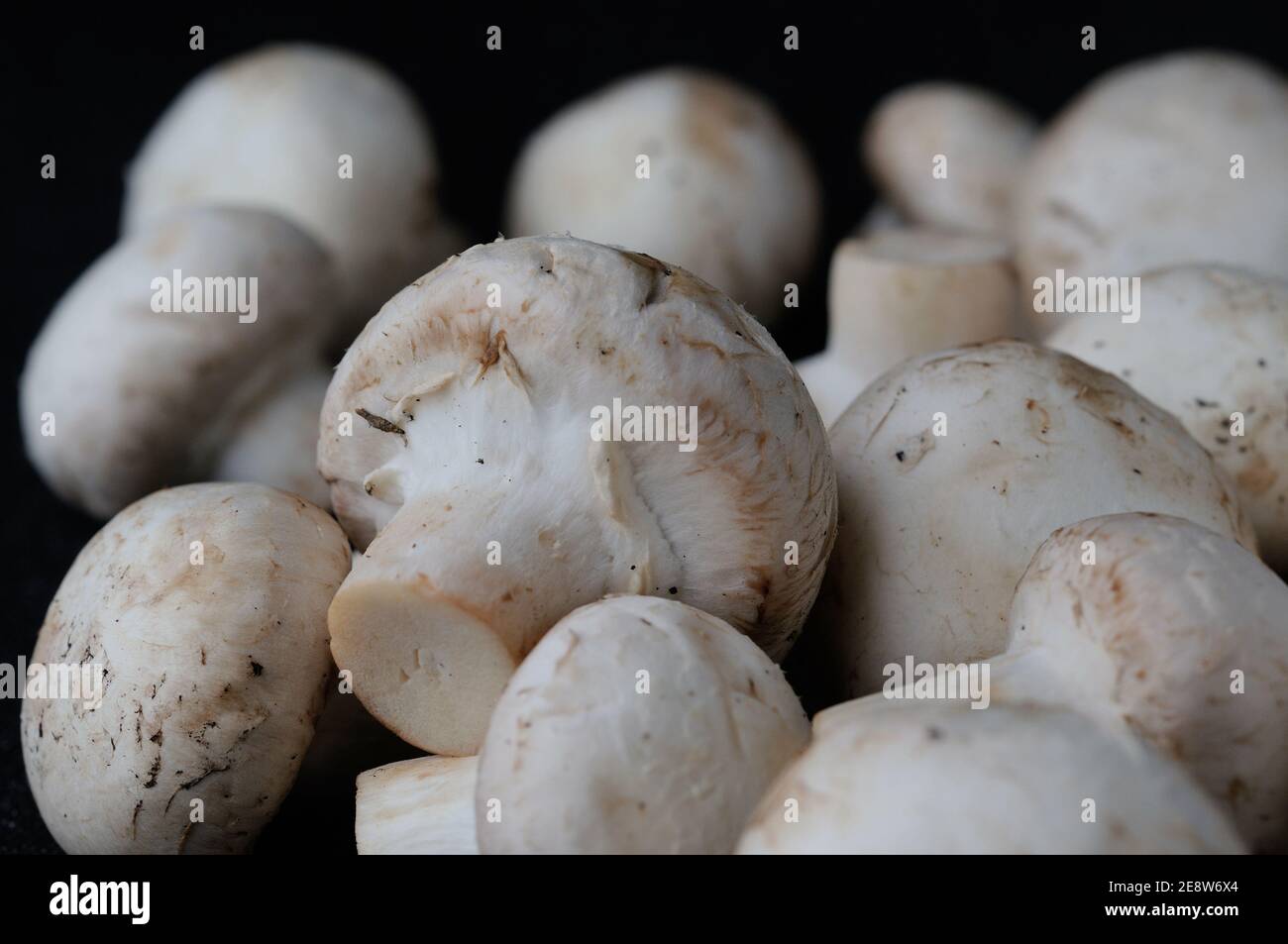 Funghi Champignon per una dieta sana closeup. Profondità di campo poco profonda Foto Stock