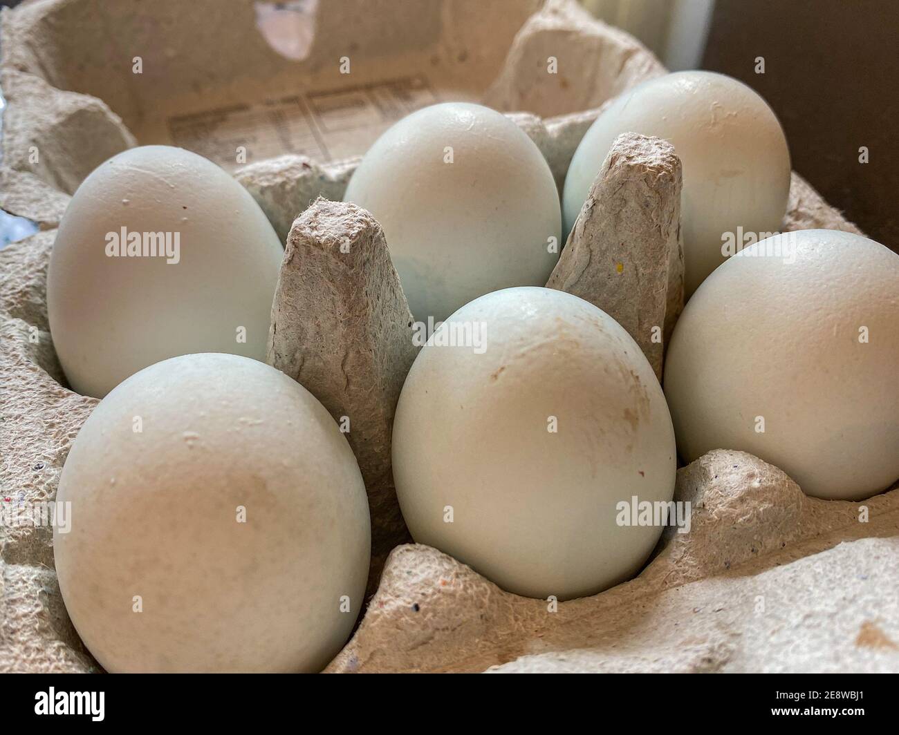 Casella di sei uova Foto Stock