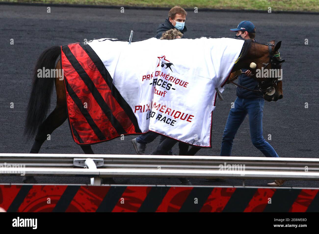 Handout photo of Bjorn Goop Driving Face Time Bourbon ha vinto il Prix d'Amerique all'incontro di Vincennes all'Ippodromo De Vincennes il 31 gennaio 2021 a Parigi, Francia. Foto di le Trot via ABACAPRESS.COM Foto Stock