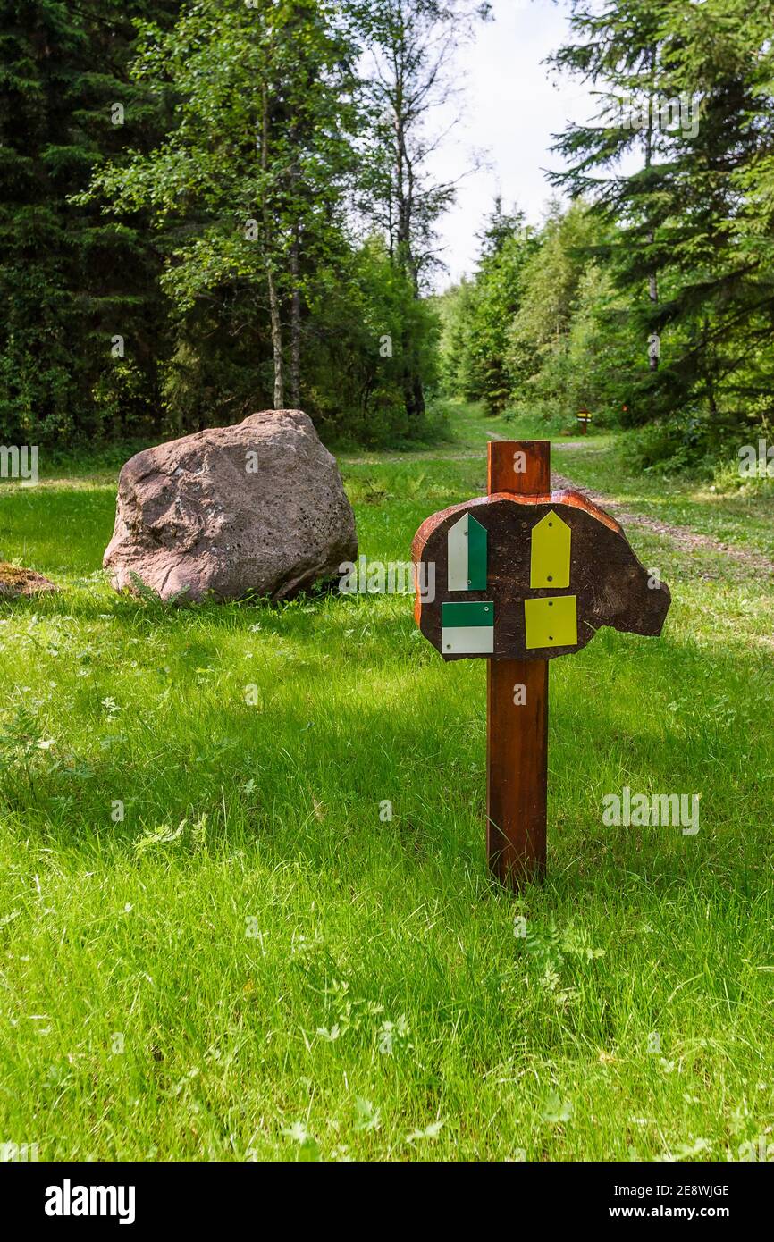 Sentiero luminoso estivo immagini e fotografie stock ad alta ...