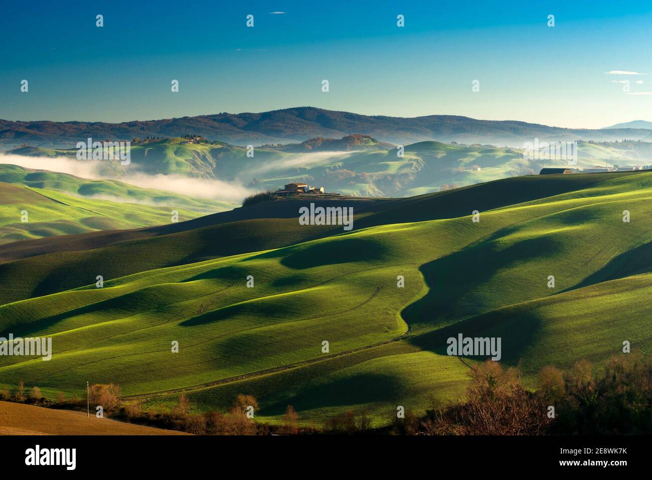 Verdi colline ondulate in una mattinata di sole invernale nello scenario del paesaggio delle crete senesi vicino Asciano, Siena Foto Stock