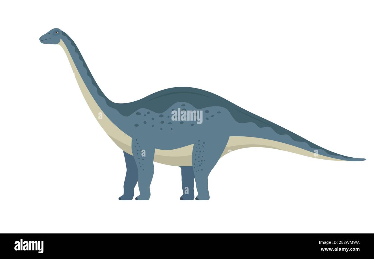 Dinosauro Apatosaurus. Illustrazione vettoriale di un grande apatosauro preistorico isolato su sfondo bianco. Vista laterale, profilo. Illustrazione Vettoriale