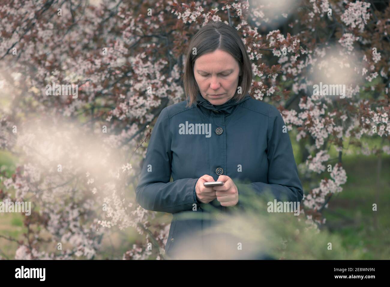Messaggi di testo donna sul telefono cellulare sotto la ciliegia fiorente albero in primavera Foto Stock